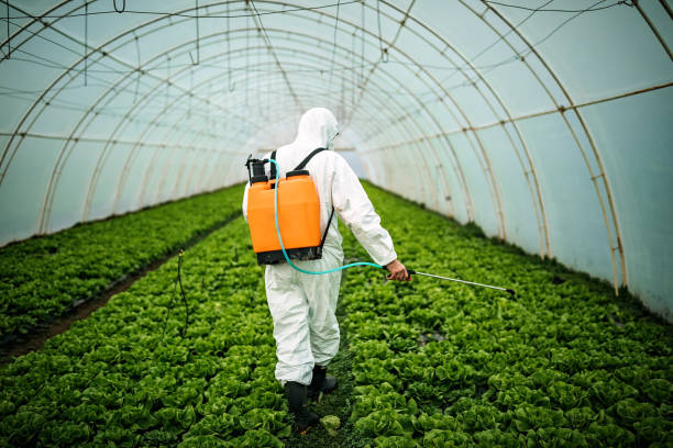 Pest Control for Restaurants in Mayville, MI