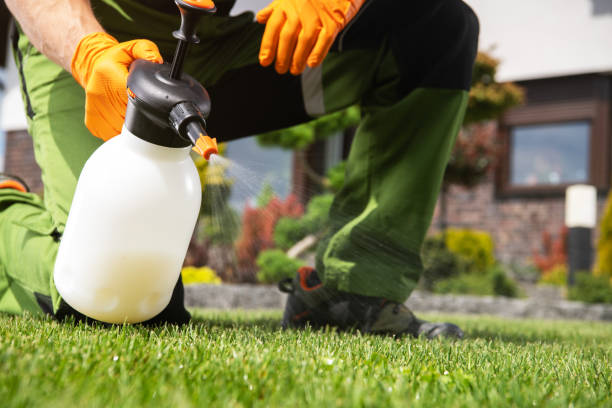 Best Pest Control for Restaurants  in Mayville, MI