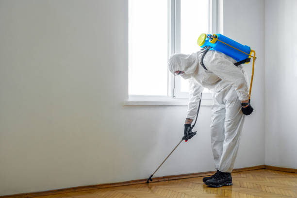 Best Pest Control for Businesses  in Mayville, MI